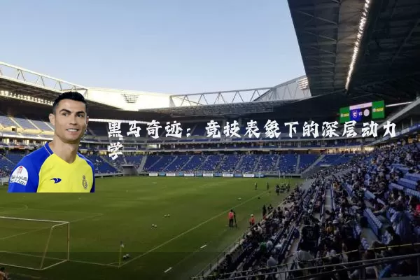 黑马奇迹:竞技表象下的深层动力学